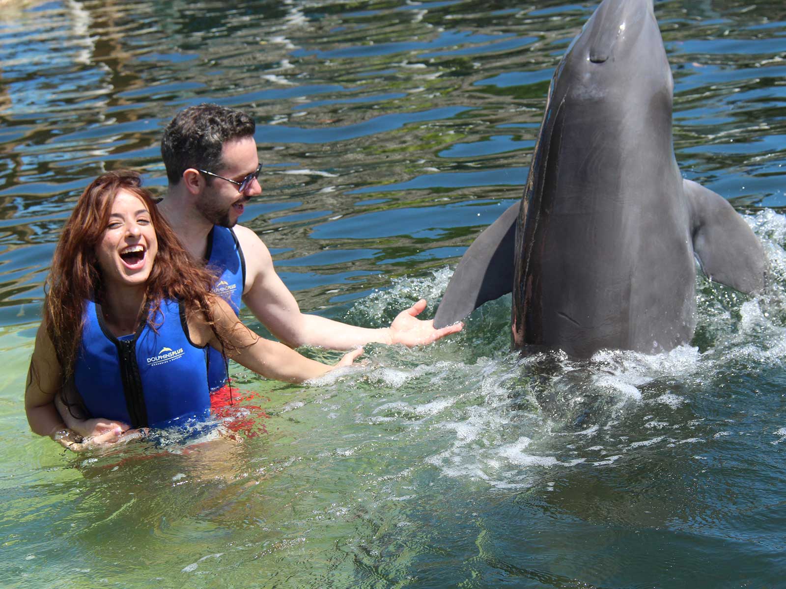 Dr. Korkor swimming with dolphin